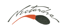 Nectandra, S.A. logo