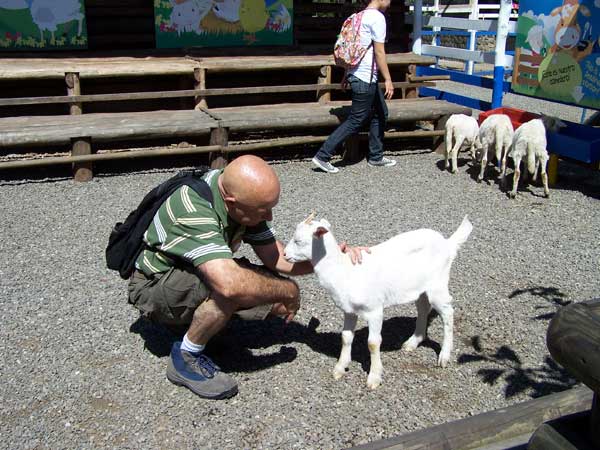 image of Alvaro and goat